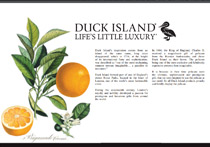 Catalogul de produse Duck Island