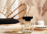 Difuzoare / parfum cameră